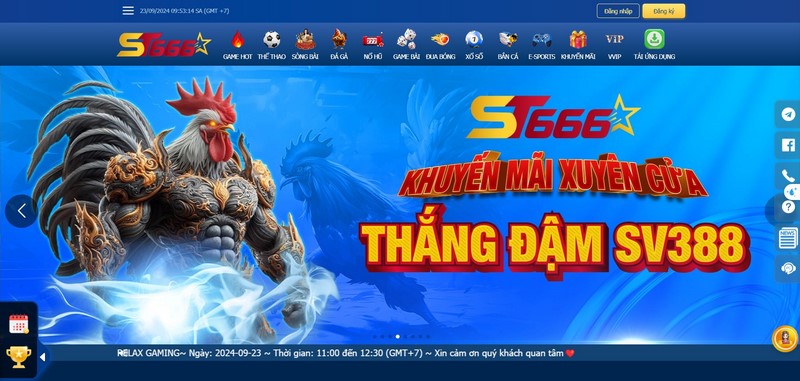 Đá Gà St666 - Mãn Nhãn Với Những Trận Chiến Chuyên Nghiệp